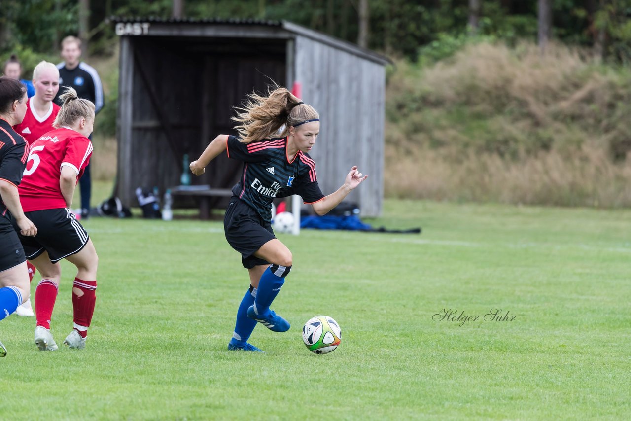 Bild 175 - Frauen SG NieBar - HSV 2 : Ergebnis: 4:3